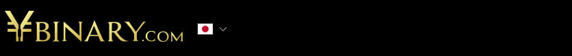 ワイバイナリー(Ybinary)ナビ